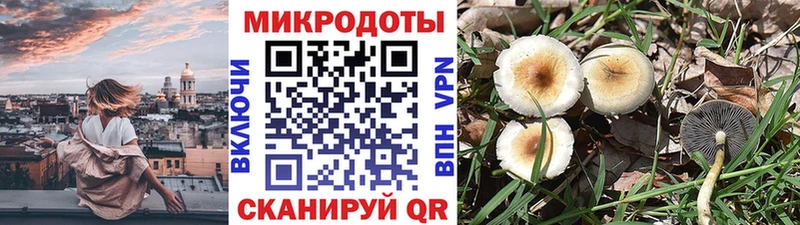 Псилоцибиновые грибы GOLDEN TEACHER  где купить наркоту  Новоуральск 